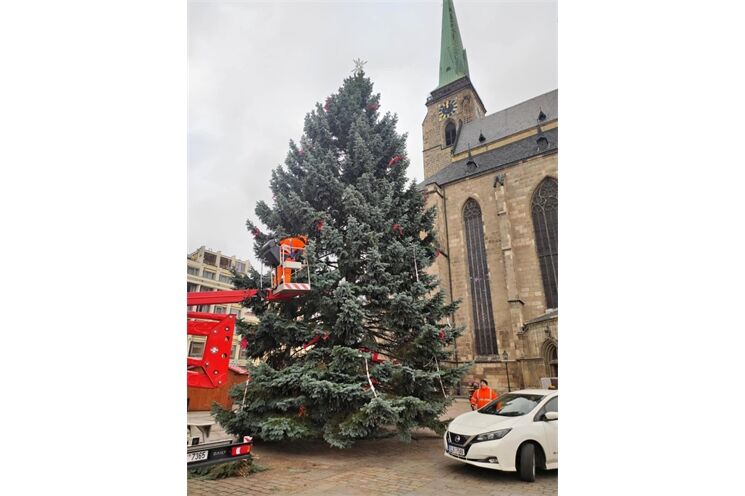 Vánoční strom Plzeň zdobení_1124_Milan Svoboda (3)