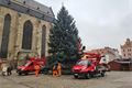 Vánoční strom Plzeň zdobení_1124_Milan Svoboda (1)