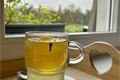 Caffe Lobzy (9)