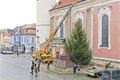 Vánoční strom Domažlice (1)
