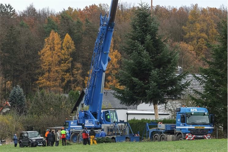 Čtyřka vánoční strom_1124_MO 4 (2)