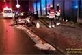 OA nehoda Sulkova Plzeň_1124_HZSPK (4)