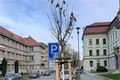 Rokycany sakury_1124_město Rokycany (1)