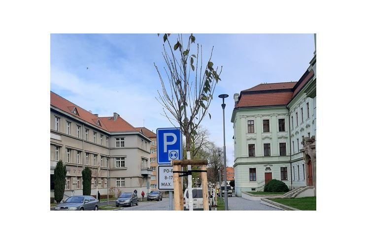 Rokycany sakury_1124_město Rokycany (1)