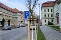 Rokycany sakury_1124_město Rokycany (3)