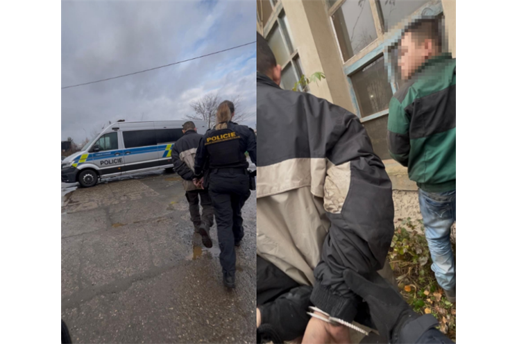 kontrola cizinecká policie_1124_PČR