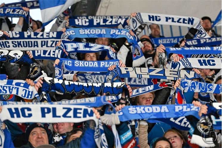 2024.12.01-15.46.22-164w 2024.12.01-15.46.22-164w