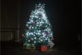 Advent Krkavec_1224_krkavec (1)
