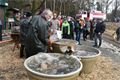 vánoční stromky a ryby_sádky_Košinář_1224_MMP (4)