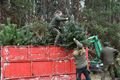 vánoční stromky a ryby_sádky_Košinář_1224_MMP (5)