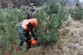vánoční stromky a ryby_sádky_Košinář_1224_MMP (7)