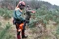 vánoční stromky a ryby_sádky_Košinář_1224_MMP (8)