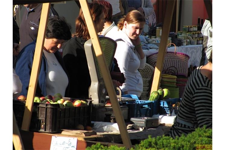 IMG_3874 IMG_3874