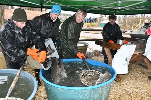 DSC_3110_fotoRadkaŽÁKOVÁ