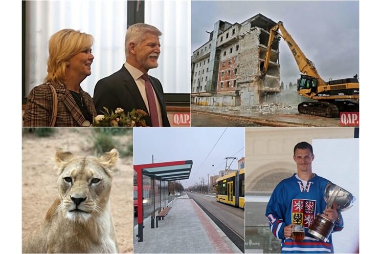 shrnutí Plzeň 2024_QAP
