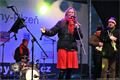 The Dixie Hot Licks_1224_M. Svoboda (12)