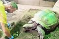 novoroční mláďata zoo Plzeň_0125_zoo plzeň (3)