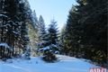 Žeeznorudsko _Šumava QAP (6)
