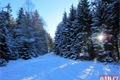 Žeeznorudsko _Šumava QAP (5)