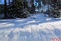 Žeeznorudsko _Šumava QAP (9)
