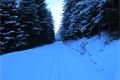 Žeeznorudsko _Šumava QAP (11)