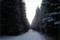 Žeeznorudsko _Šumava QAP (2)