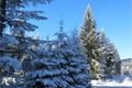 Žeeznorudsko _Šumava QAP (1)