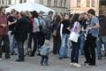 struny (12)