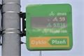 Sčítání cyklistů v Plzni_0225_město Plzeň (2)