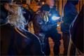 Policejní razie v Plzni_0225_MPP (2)