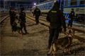 Policejní razie v Plzni_0225_MPP (3)