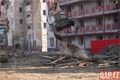 Demolice na Jateční začala_0225_QAP (38)