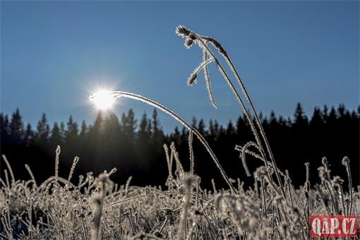 Mráz ilustrační foto Milan Janoch (2) Mráz ilustrační foto Milan Janoch (2)
