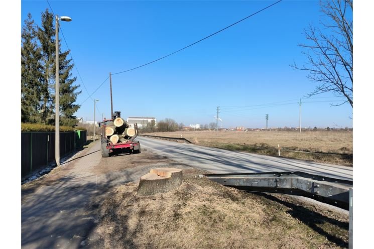 kácení křižovatka Výsluní_0225_MO3 (1)