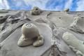boulderingove_steny_plaska_foto_vejvodova (2)