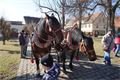 Bolevecký masopust_0325_QAP (38)