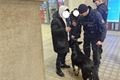kontrolní akce Plzeň_0325_PČR (1)