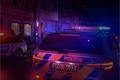 kontrolní akce Plzeň_0325_PČR (20)