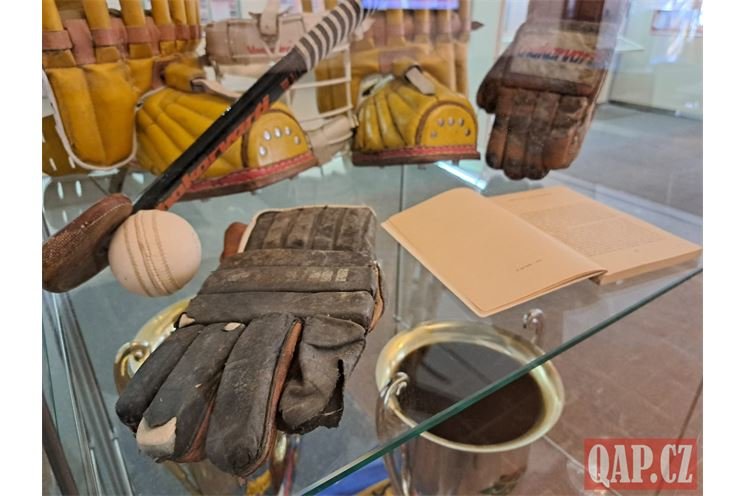 Sportovec Plzně 2024_0325_QAP (7)
