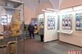 Sportovec Plzně 2024_0325_QAP (1)