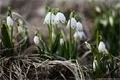 Podívejte se, jak fotograf QAPu zachytil slunečnou Plzeň (3)