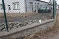 řidči ujeli od nehod Tachovsko_0325_PČR (2)