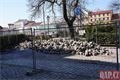 Veleslavínova rekonstrukce_0325_QAP (9)
