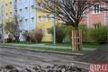 rekonstrukce Na Dlouhých Plzeň_0425_QAP (9)