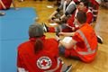 Krajské cvičení humanitárních jednotek v Třemošné_0425_ČČK (1)
