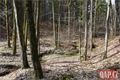 Česká studánka 33_ročník odemykání Qap (5)