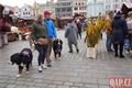 Velikonoční trhy_0425_QAP (2)
