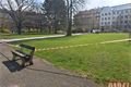 Chodníky na náměstí Míru prochází úpravou_0425_QAP (2)