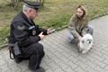 akce Kostička Skvrňany_0425_ÚMO3 (4)