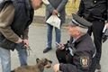 akce Kostička Skvrňany_0425_ÚMO3 (5)